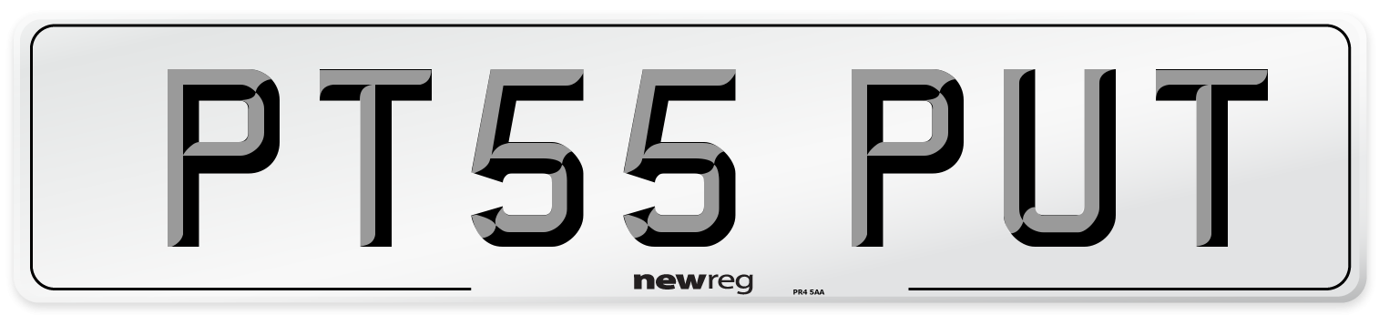 PT55 PUT Number Plate from New Reg